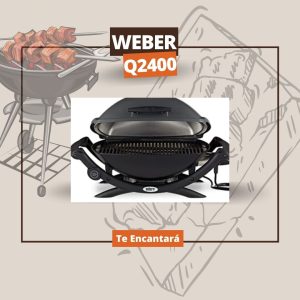 weber q2400