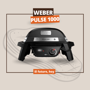 weber pulse 1000